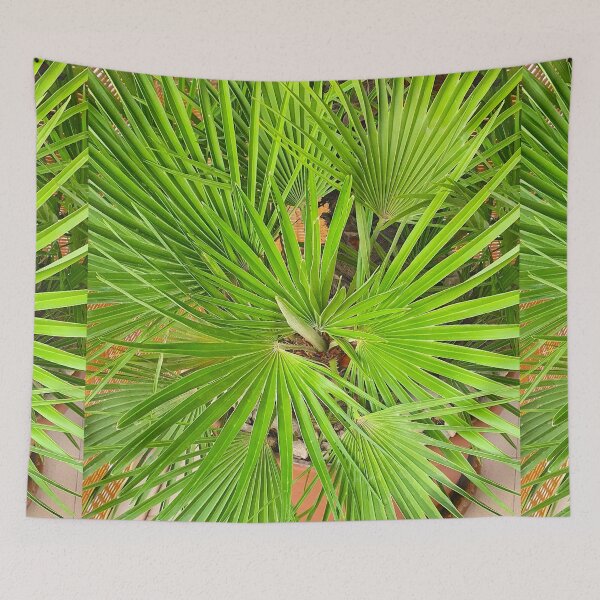 Item preview, palmtree designed and sold by Tereza Pilar  Art.