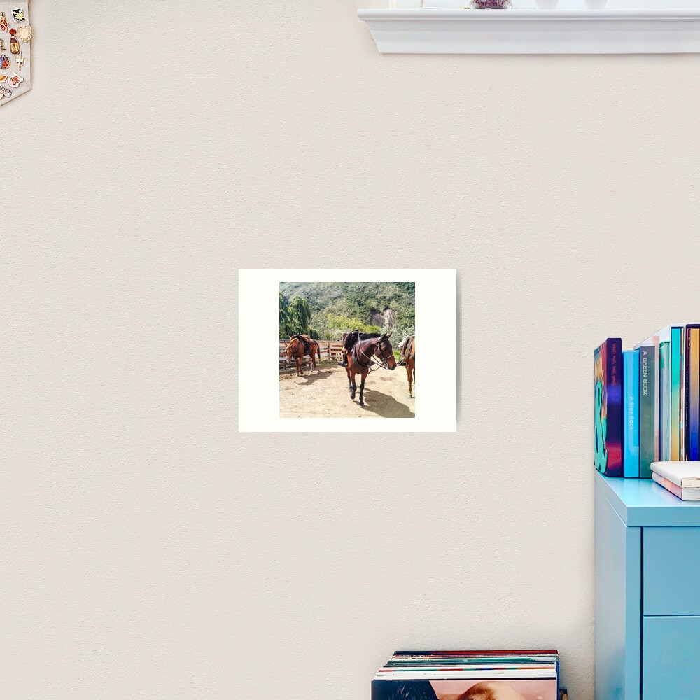 Three horses with saddles waiting for riders Art Print