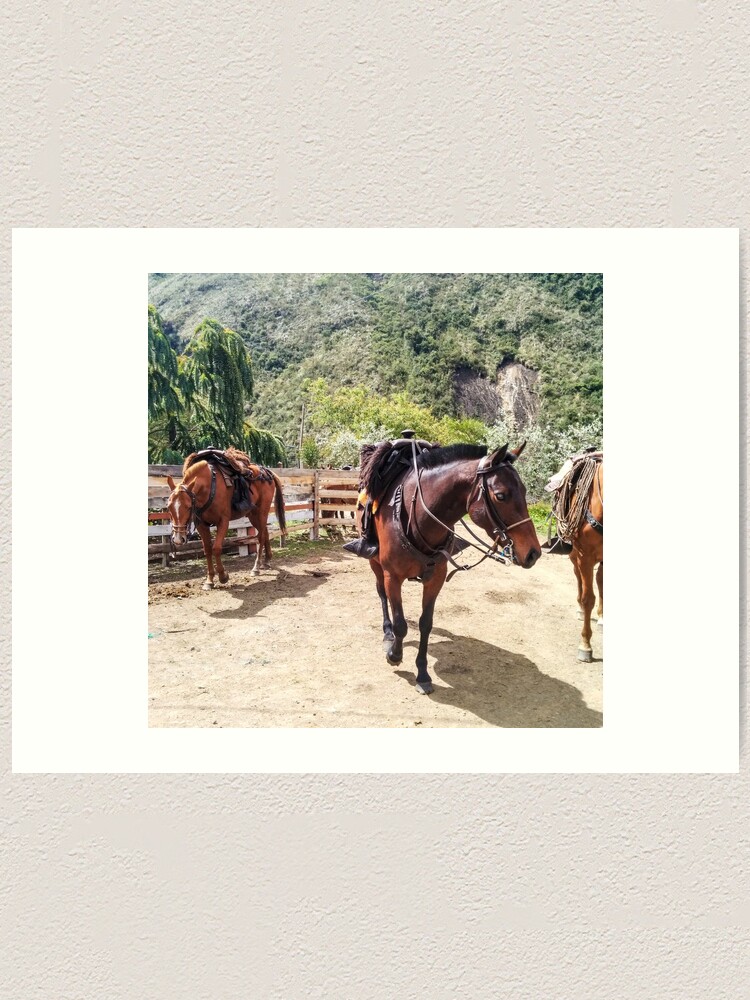 Alternate view of Three horses with saddles waiting for riders Art Print
