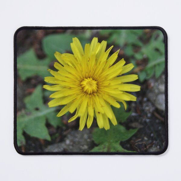 Item preview, More than a weed designed and sold by moonlillie.