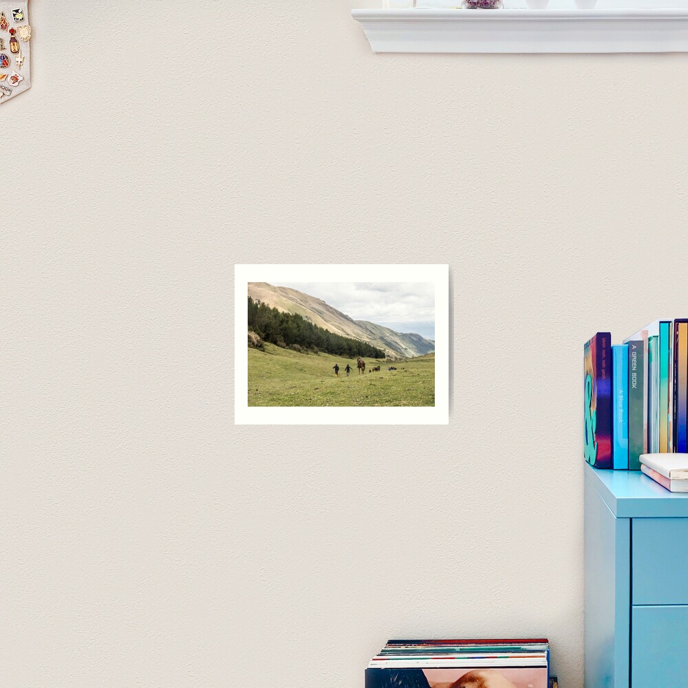 Horses in a valley of the Andes mountains, Ecuador Art Print