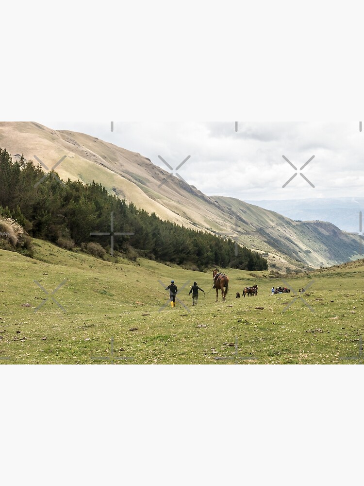 Horses in a valley of the Andes mountains, Ecuador by kpander