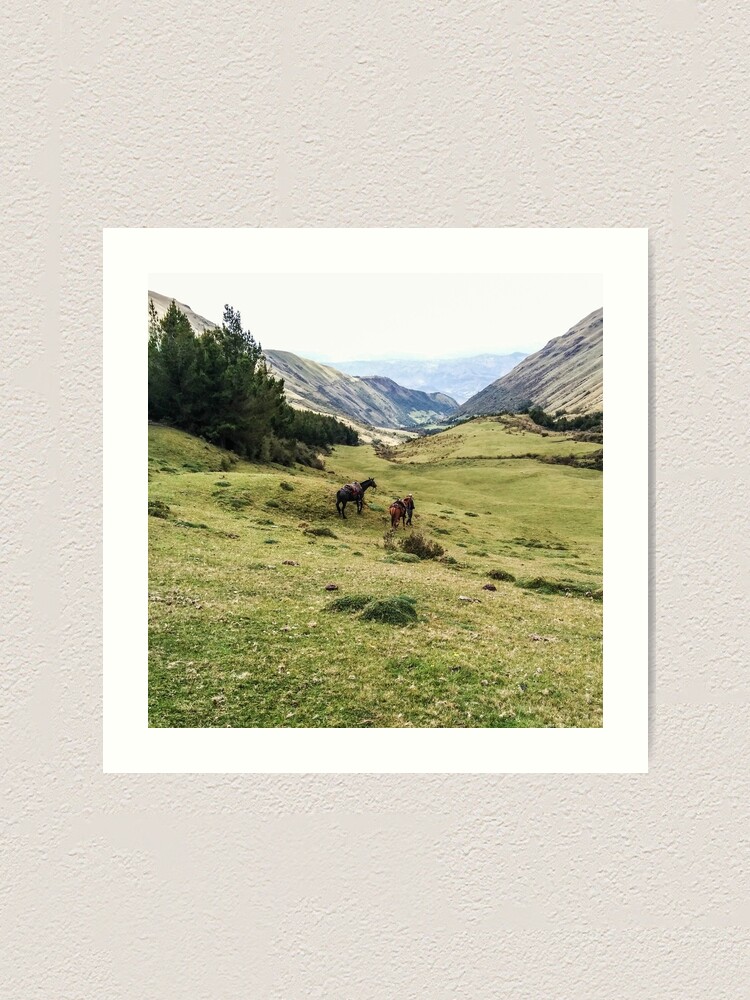 Alternate view of Valley landscape with mountains and horses, Ecuador Art Print
