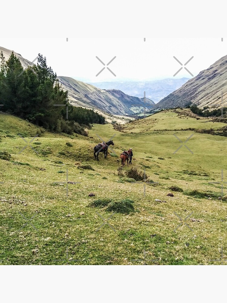 Valley landscape with mountains and horses, Ecuador by kpander