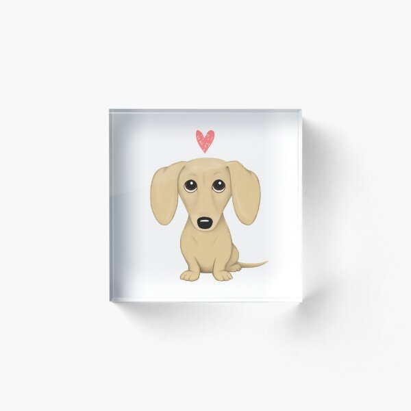 Cream Smooth Coated Dachshund Dog Cartoon with Heart Acrylic Block