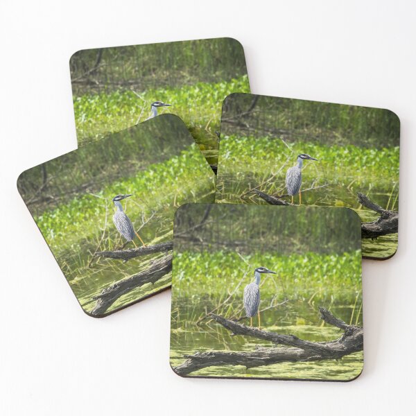 Item preview, Yellow-crowned Night Heron designed and sold by CESW Photography.