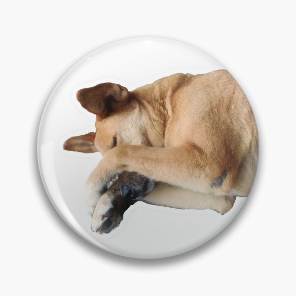 Item preview, Dog cute designed and sold by DilipSingh.