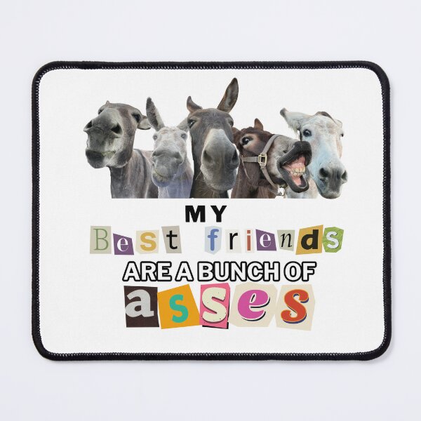 Item preview, PPDR My Bestfriends are a Bunch of Donkeys designed and sold by Ppdr.