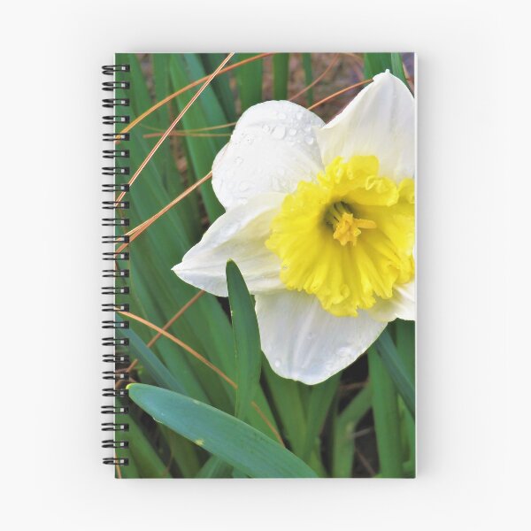 Item preview, Dewy Daffodil designed and sold by Lesliebc.