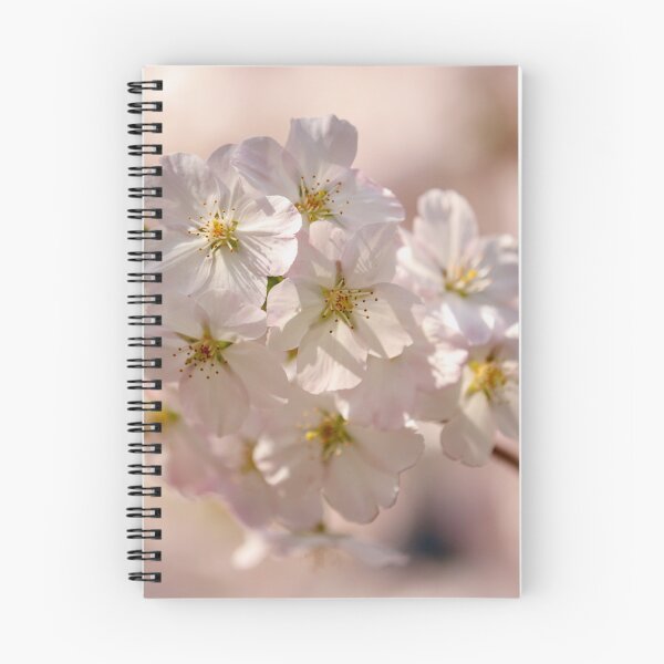 Item preview, Digital photograph of sunlit spring Cherry Blossom designed and sold by SimonJohnson1.
