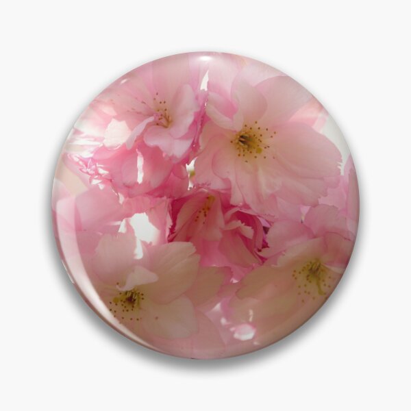 Item preview, Digital photograph of sunlit spring Cherry Blossom designed and sold by SimonJohnson1.