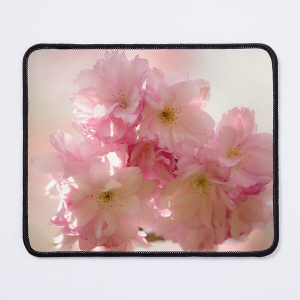 Item preview, Digital photograph of sunlit spring Cherry Blossom designed and sold by SimonJohnson1.