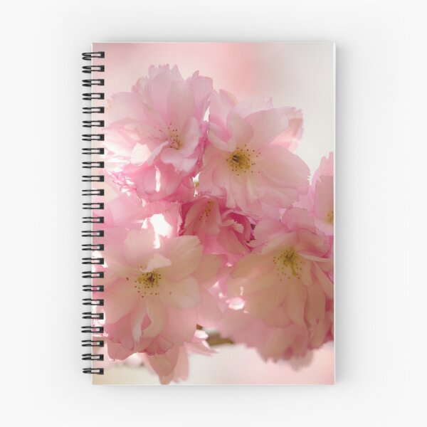 Item preview, Digital photograph of sunlit spring Cherry Blossom designed and sold by SimonJohnson1.