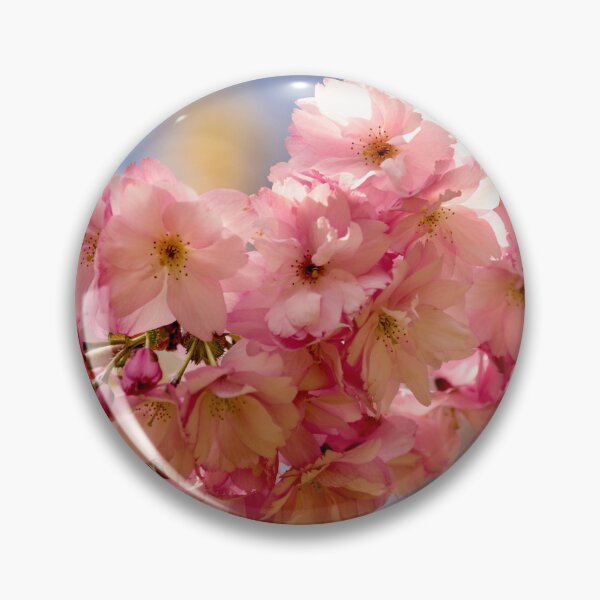 Item preview, Digital photograph of sunlit spring Cherry Blossom designed and sold by SimonJohnson1.