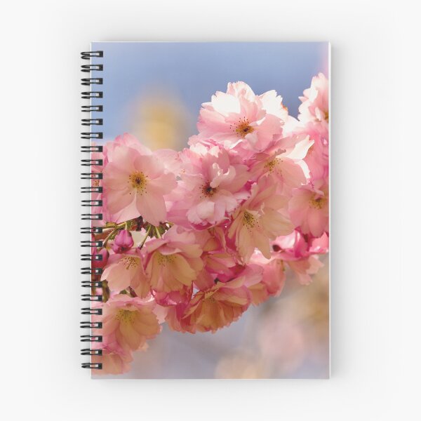 Item preview, Digital photograph of sunlit spring Cherry Blossom designed and sold by SimonJohnson1.