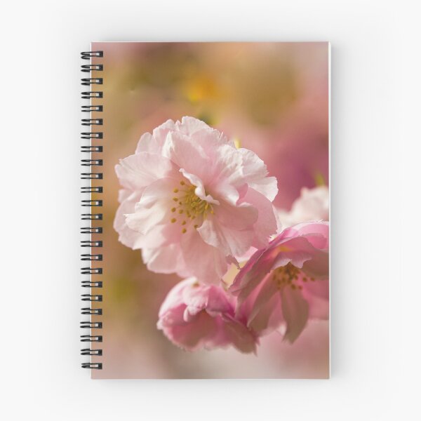 Item preview, Digital photograph of sunlit spring Cherry Blossom designed and sold by SimonJohnson1.
