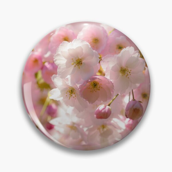 Item preview, Digital photograph of sunlit spring Cherry Blossom designed and sold by SimonJohnson1.