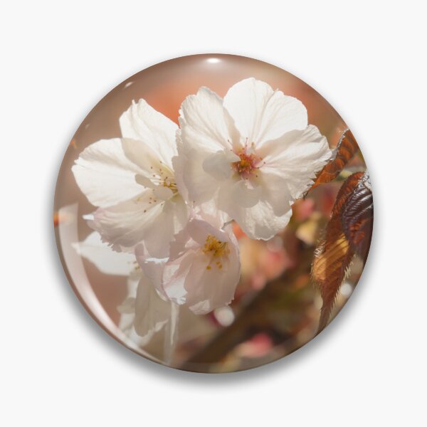 Item preview, Digital photograph of sunlit spring Cherry Blossom designed and sold by SimonJohnson1.