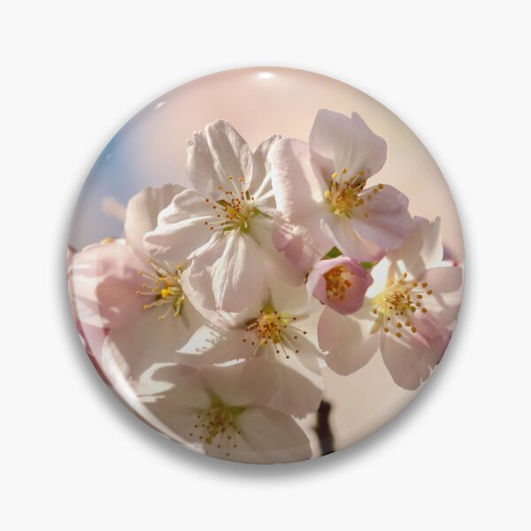 Item preview, Digital photograph of sunlit spring Cherry Blossom designed and sold by SimonJohnson1.