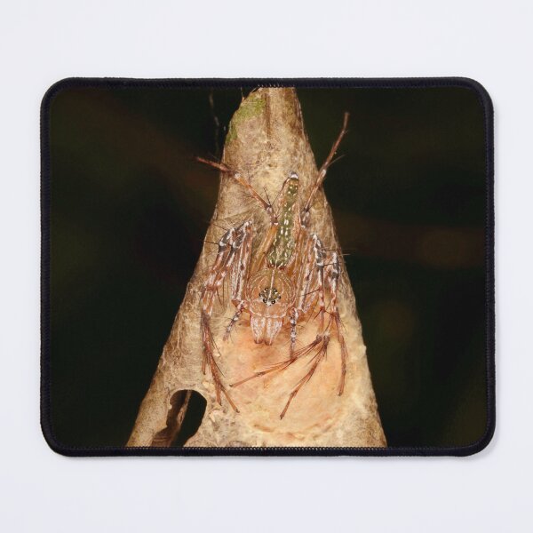 Item preview, Lynx Spider designed and sold by itchydogimages.
