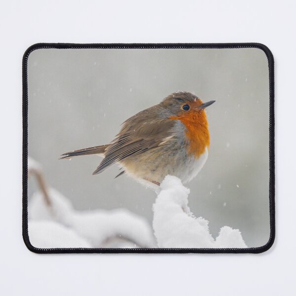 Item preview, Robin in the snow designed and sold by sjbaldwin.
