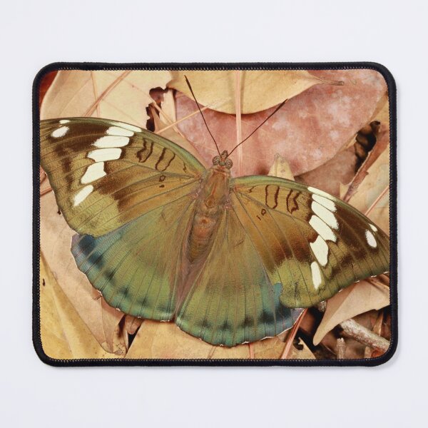Item preview, Bronze Duke Butterfly, female designed and sold by itchydogimages.