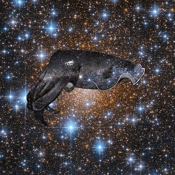 Artwork thumbnail, Galaxy Cuttlefish by KristalStittle