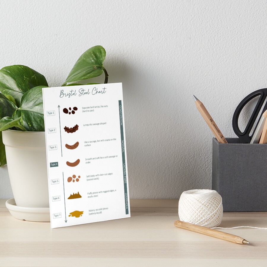 "Bristol Stool Chart - Green" Poster for Sale by martina1988 | Redbubble