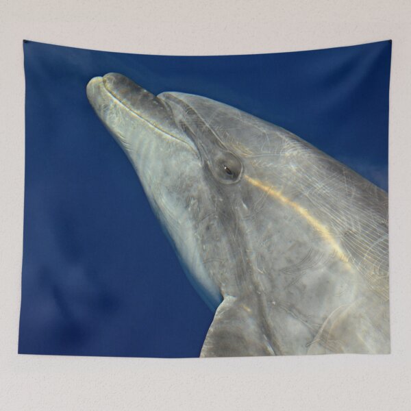 Item preview, Bottlenose dolphin portrait designed and sold by Chloé Yzoard.