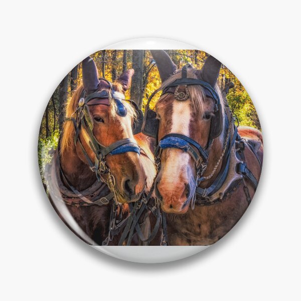 Item preview, Horse Pride 2 designed and sold by Robert Alsop.