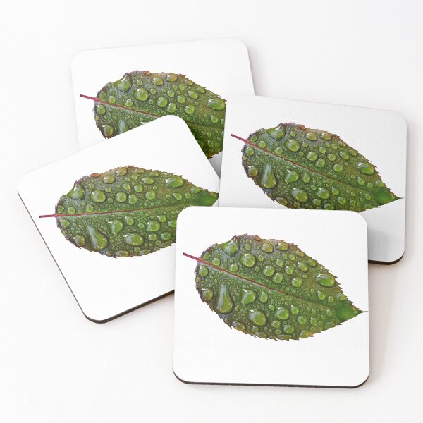 Item preview, WATER DROPS ON LEAVES designed and sold by Sanny88.