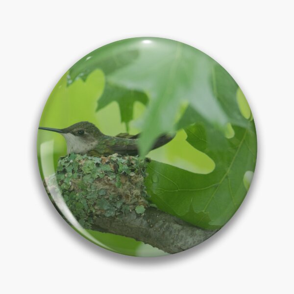 Item preview, Hummingbird on Nest  designed and sold by katevernaphoto.