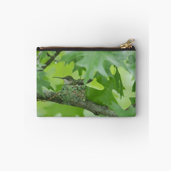 Item preview, Hummingbird on Nest  designed and sold by katevernaphoto.