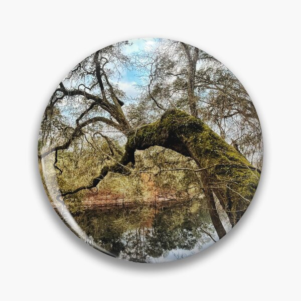 Aperçu de l'œuvre Au-dessus du Suwannee créée et vendue par Jason Tompkins.