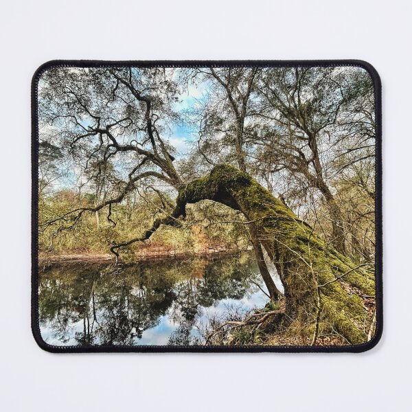 Item preview, Over The Suwannee designed and sold by Jason Tompkins.