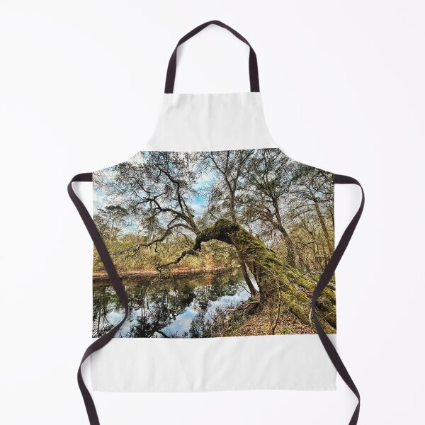 Item preview, Over The Suwannee designed and sold by Jason Tompkins.