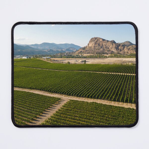 Item preview, Okanagan Valley Winery Vineyard British Columbia designed and sold by Kevin Miller Photography.