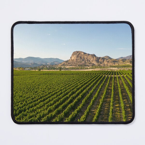 Item preview, Okanagan Valley Winery Vineyard British Columbia designed and sold by Kevin Miller Photography.