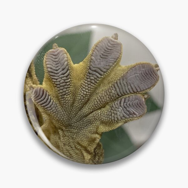 Item preview, Leachy Toes-Leachianus Gecko Foot designed and sold by Maddabblerart.