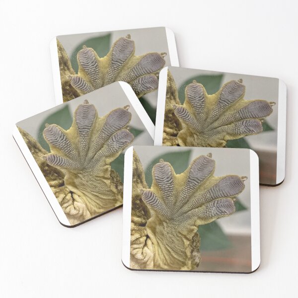 Item preview, Leachy Toes-Leachianus Gecko Foot designed and sold by Maddabblerart.