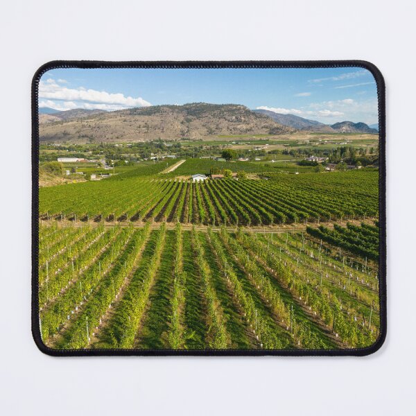 Item preview, Okanagan Valley Winery Vineyard British Columbia designed and sold by Kevin Miller Photography.
