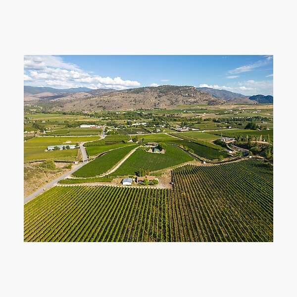 Item preview, Okanagan Valley Winery Vineyard British Columbia designed and sold by Kevin Miller Photography.