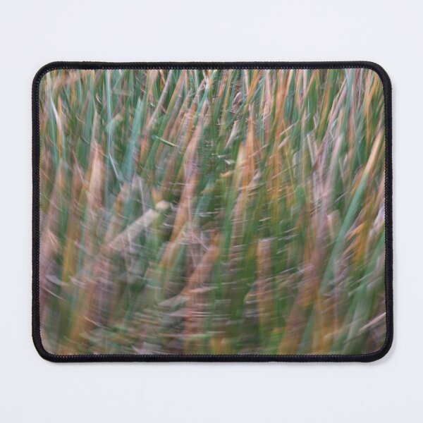Item preview, Around the reeds designed and sold by athexphoto.