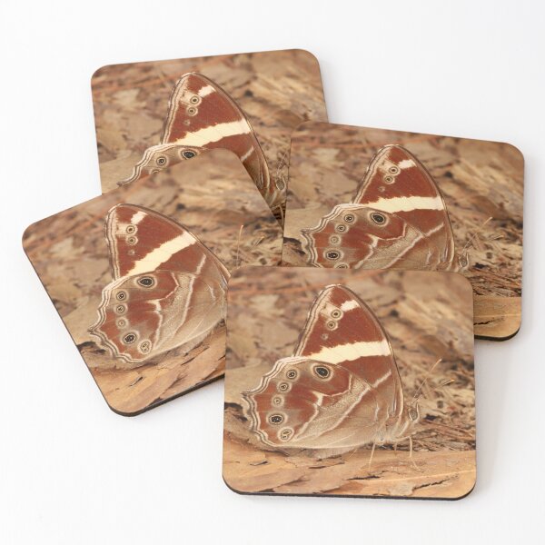 Item preview, Banded Treebrown designed and sold by itchydogimages.