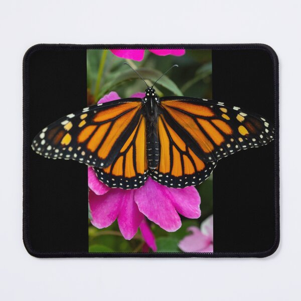Item preview, Monarch Butterfly Lover Photograph with Impatiens designed and sold by Carleah Unique.