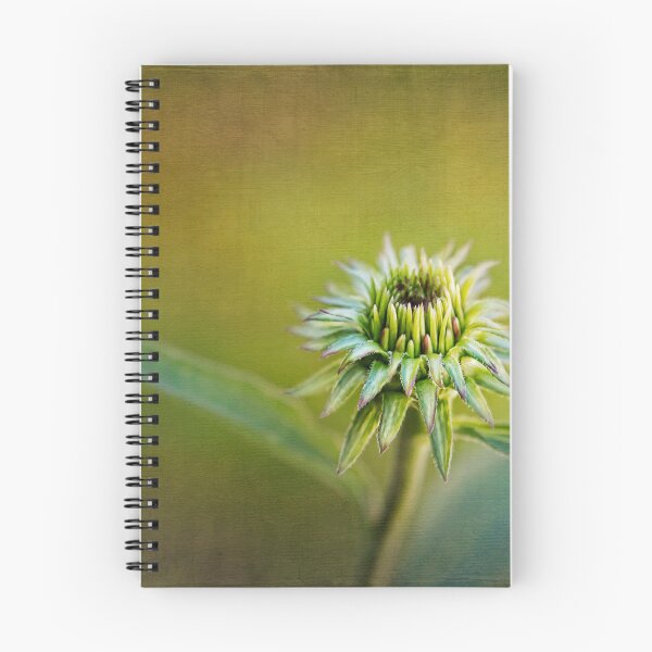 Item preview, Echinacea Bud designed and sold by Renee Dawson.