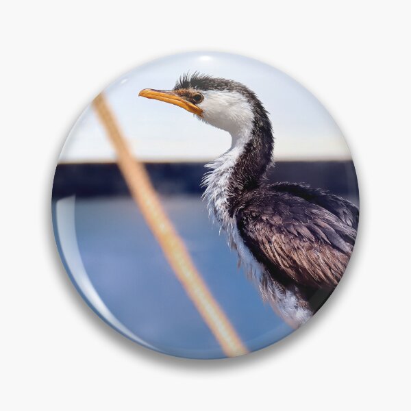 Item preview, Australian cormorant bird Tuncurry 55 designed and sold by kevin Chippindall.