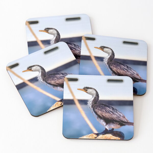 Item preview, Australian cormorant bird Tuncurry 55 designed and sold by kevin Chippindall.