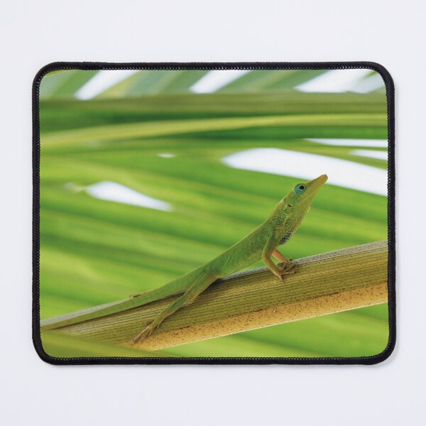 Item preview, Green Anole Photo designed and sold by TheAnimalZ00.