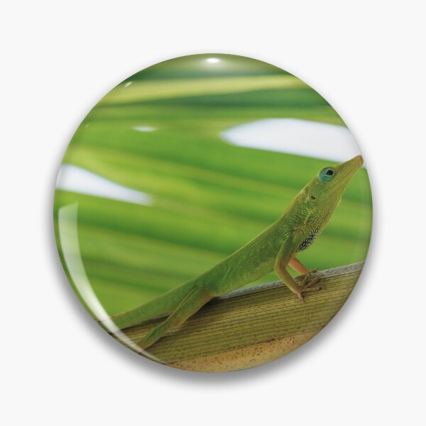 Item preview, Green Anole Photo designed and sold by TheAnimalZ00.